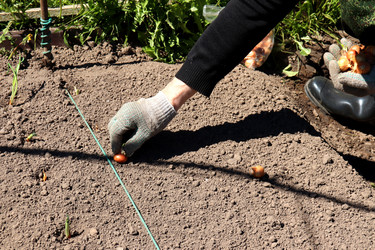 Similar image 21842067