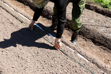 Similar image 21842068