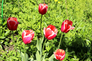 Similar image 21842069