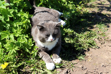 Similar image 21842070