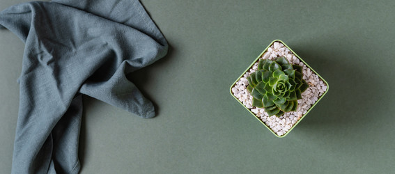 Similar image 21842727