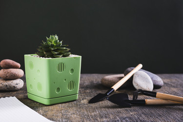 Similar image 21842736