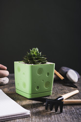 Similar image 21842738