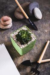 Similar image 21842739