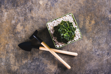 Similar image 21842740