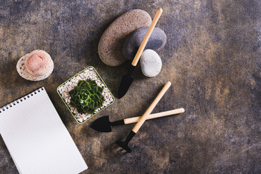 Similar image 21842741