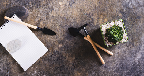 Similar image 21842743