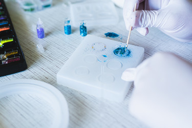 Similar image 21842762