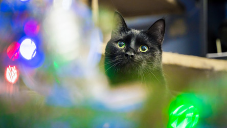 Similar image 21846400