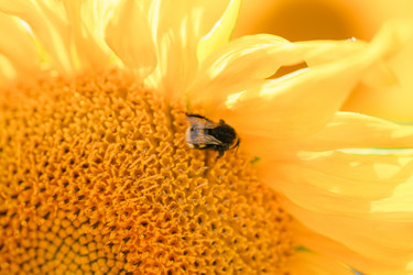 Similar image 21846402