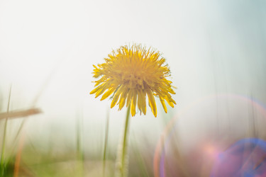 Similar image 21846404