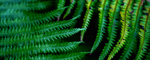 Similar image 21846405