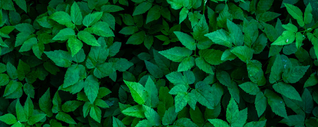 Similar image 21846409