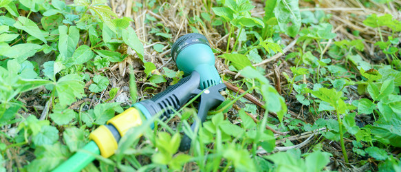 Similar image 21846420