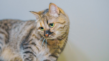 Similar image 21846423