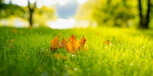 Similar image 21846429