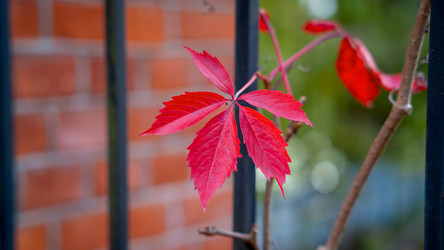 Similar image 21846430