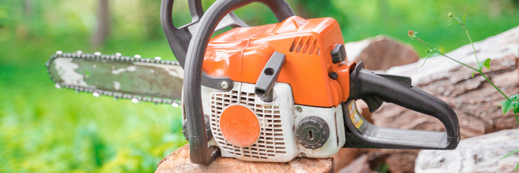 Similar image 21846432