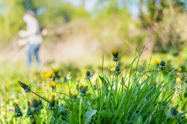 Similar image 21846436