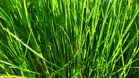 Similar image 21842077