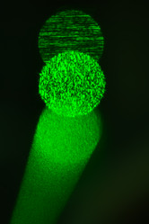 Similar image 21842081