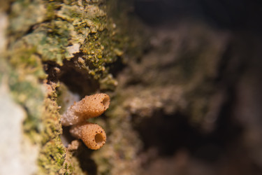 Similar image 21842085