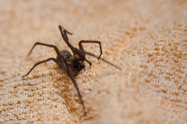 Similar image 21842091