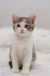 Similar image 21842114