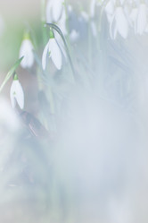 Similar image 21842117