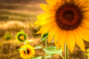 Similar image 21842120