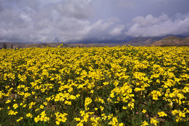 Similar image 21842123