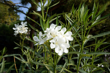 Similar image 21843459