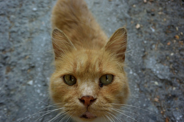 Similar image 21843463