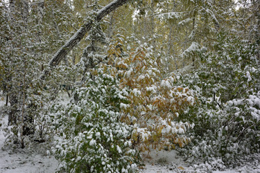 Similar image 21843468