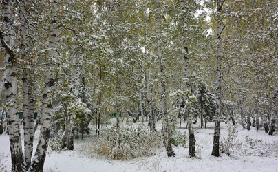 Similar image 21843469