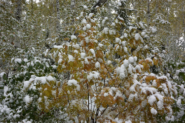 Similar image 21843470