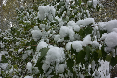 Similar image 21843471