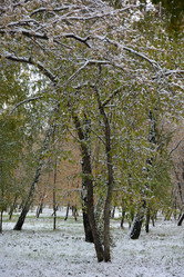 Similar image 21843472