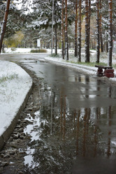 Similar image 21843474