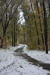 Similar image 21843475