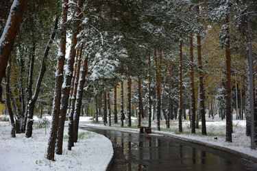 Similar image 21843476