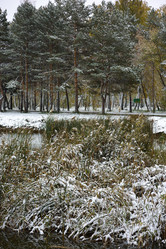 Similar image 21843477