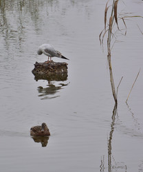 Similar image 21843478