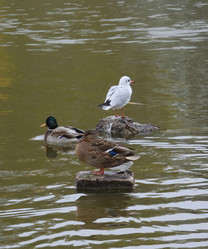 Similar image 21843480