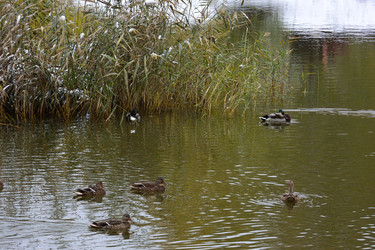 Similar image 21843481