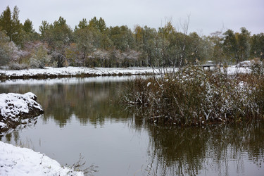 Similar image 21843484