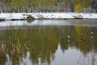 Similar image 21843485