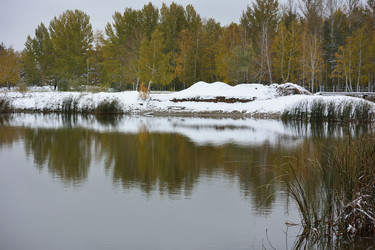 Similar image 21843486