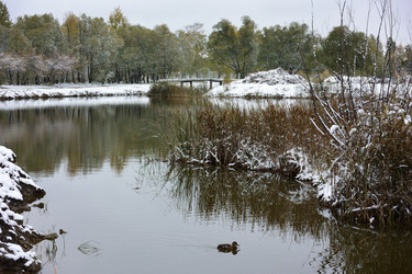 Similar image 21843487