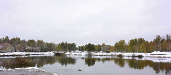 Similar image 21843488